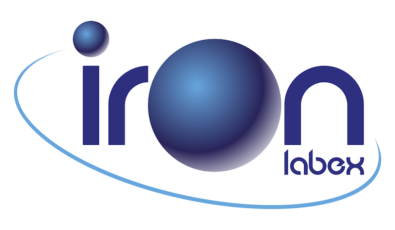 Logo LabEx IRON