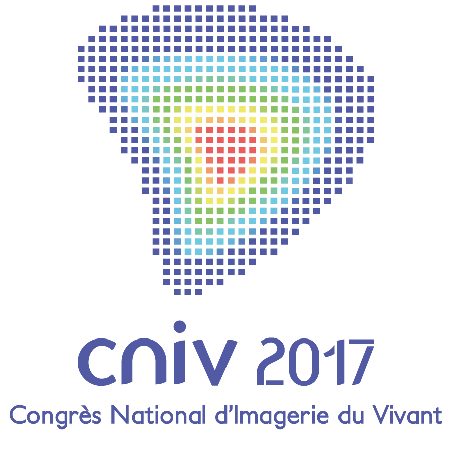 Devenir Sponsor du CNIV 2017